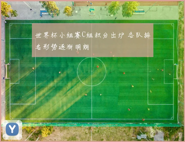世界杯小组赛C组积分出炉 各队排名形势逐渐明朗