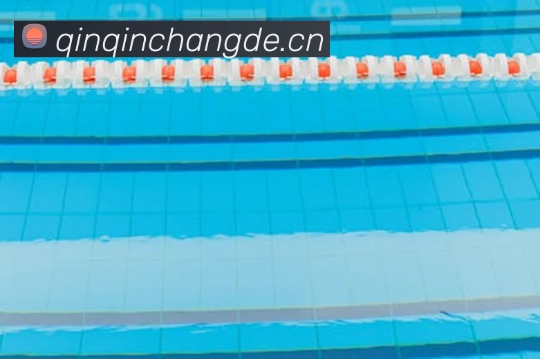 mksports在线登录入口品牌故事